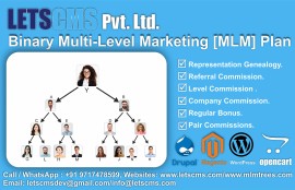 Binary MLM E-Pin Plan for Drupal USA, Aguanga, United States