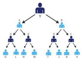 Binary MLM eCommerce Plan | Multilevel Binary tree, Noida, India