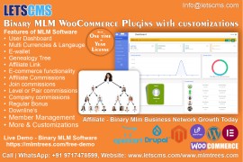 Binary MLM eCommerce Plan | Multilevel Binary tree, Noida, India