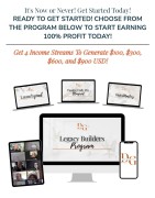 Legacy Builders Program - Digital Marketing, Johannesburg, South Africa