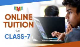 Online Tuition for Class 7 CBSE, Noida, India