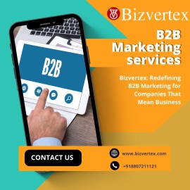 Bizvertex: Redefining B2B Marketing for Companies , Chiba, Japan