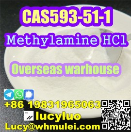 Methylamine HCl / Methylamine Hydrochloride CAS 59