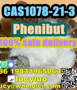 Factory Price 99%purity 4-Amino-3-phenylbutanoic a