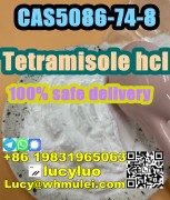 Tetramisole hydrochloride CAS 5086-74-8 low price , Ayer Raja New Town, Singapore's Lands