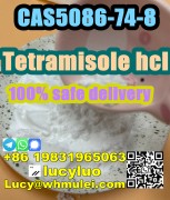 Tetramisole hydrochloride CAS 5086-74-8 low price , Ayer Raja New Town, Singapore's Lands