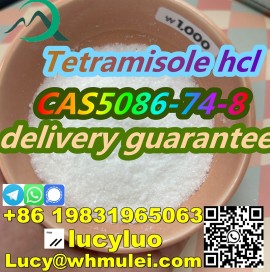 Tetramisole hydrochloride CAS 5086-74-8 low price , Ayer Raja New Town, Singapore's Lands