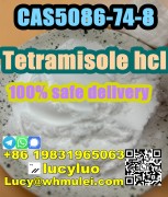 Tetramisole hydrochloride CAS 5086-74-8 low price , Ayer Raja New Town, Singapore's Lands