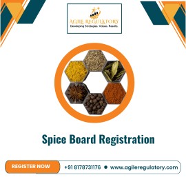 Spice Board Registration and Certificate in India, Noida, India