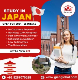 Overseas Education Consultants in Delhi, Delhi, India