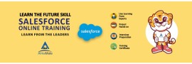 AlmaMate Info Tech - Best Salesforce Training in N, Noida, India