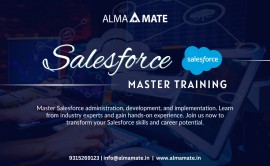 AlmaMate Info Tech - Best Salesforce Training in N, Noida, India