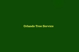 Tree Trimming Service Orlando, Orlando, United States