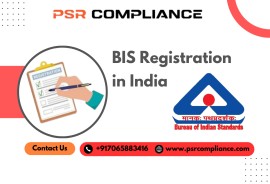 BIS Registration in India, Noida, India