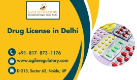 Drug License Certificate, Noida, India