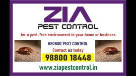 Bedbugs treatment | Paying Guest | Factory | Hospi, Banaswadi, India