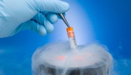 Egg Freezing in Hyderabad | Oocyte Cryopreservatio, Hyderabad, India