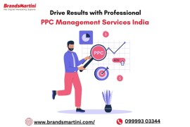 Professional PPC Management Services India, New Delhi, India