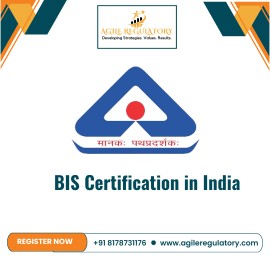 BIS Registration Online Process , Noida, India