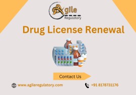 Drug License Renewal , Noida, India