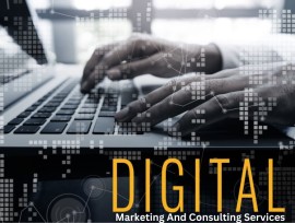 Expert Digital Marketing and Consulting Services, Gurgaon, India