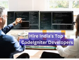 Hire India's Top CodeIgniter Developers, Gurgaon, India