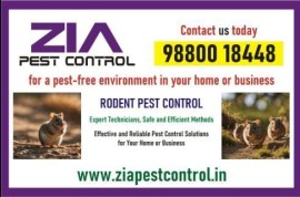  Kammanahalli Pest Control service | 100% safe | 3