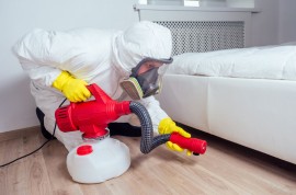 Best Pest Control Services in Salt Lake, Kolkata, India