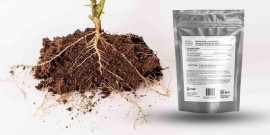 Rhizophagus Intraradices for Sale – Buy Now!, Sheridan, Wyoming