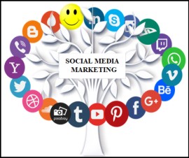 Digital Marketing Course in Coimbatore, Coimbatore, India